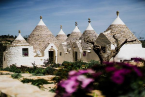 Trulli Pinacea